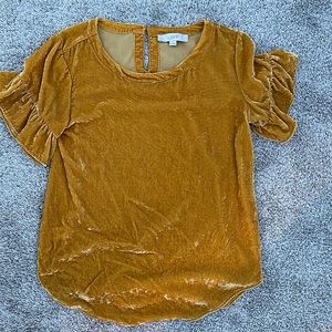 Yellow velvet blouse from loft XS